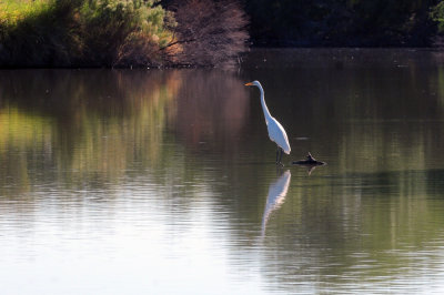930cooks 071greategret.jpg