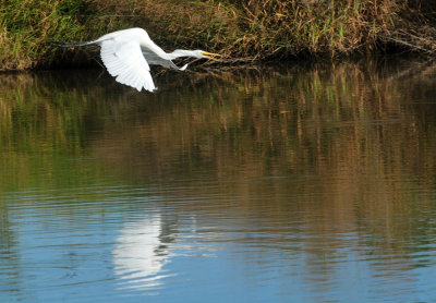  Birds Bugs anything that moves  Landscapes