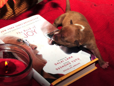 1025pups 034pup8.jpg