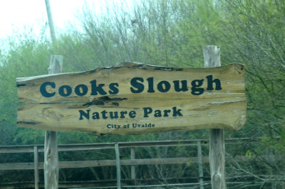 123cook's.JPG