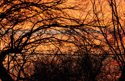 34morninglight.JPG