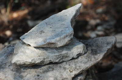 37trailpointer.JPG