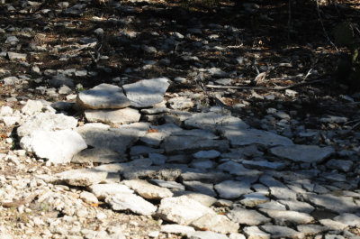 37bedof rock's.JPG