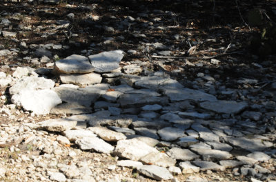 33bedof rocks.JPG