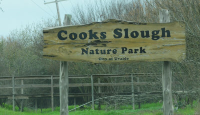 38cook's.JPG