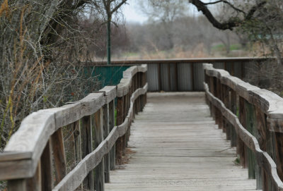 310cook'sslough.JPG
