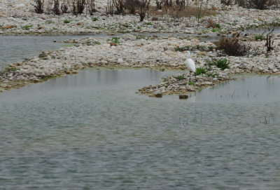 38greategret.JPG