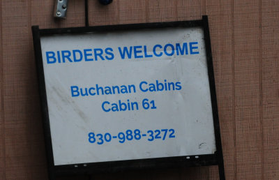 312birders.JPG