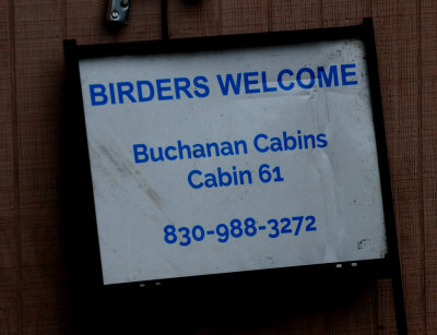 313buchanan.JPG