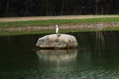 313greategret.JPG