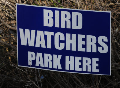 315birdwatchers.JPG