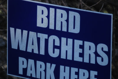 318birders.JPG