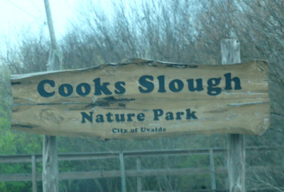 322cook's.JPG