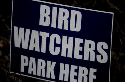 323birdwatchers.JPG