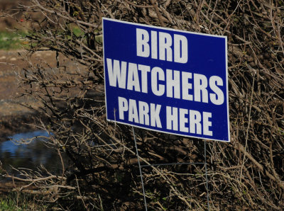 325birdwatchers.JPG