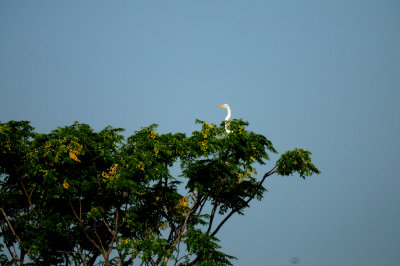 81countygreategret.JPG