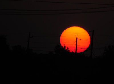 81countysun2.JPG