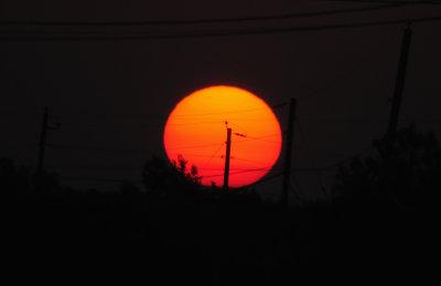 81countysunzzzzzzzz.JPG