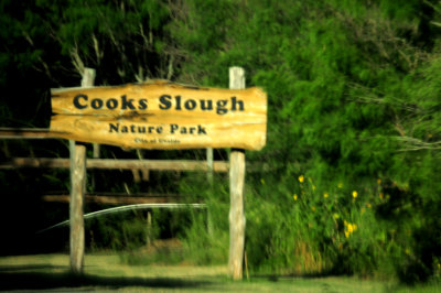730countycook'sslough.JPG