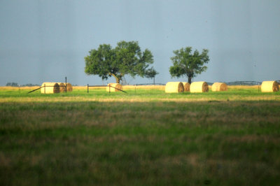 86countyHay.JPG