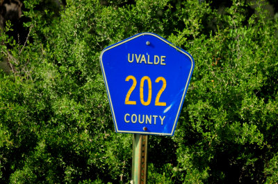 812lcountycr202.JPG