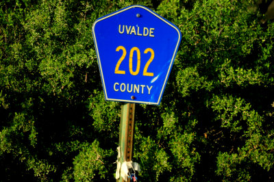 816countycr202.JPG