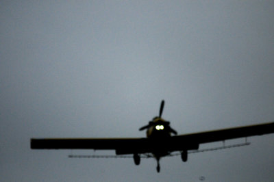 817countycook'splane.JPG