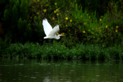 New folder817countycook'sggreategret.JPG
