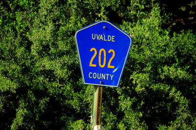 820countycr202.JPG