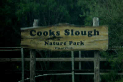 822cook'sslough2222222.JPG