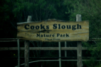 822cook'sslough.JPG