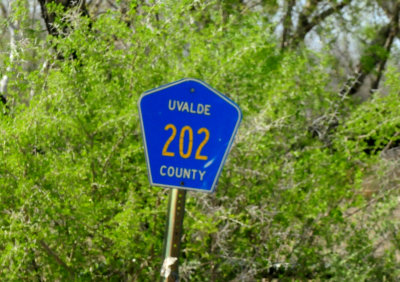 33County.cr202JPG