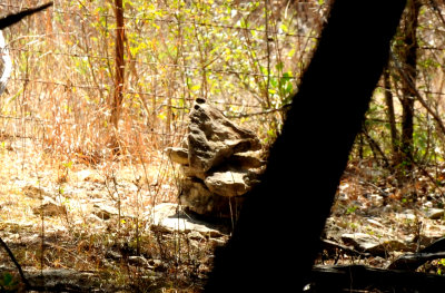 410county.markers.JPG