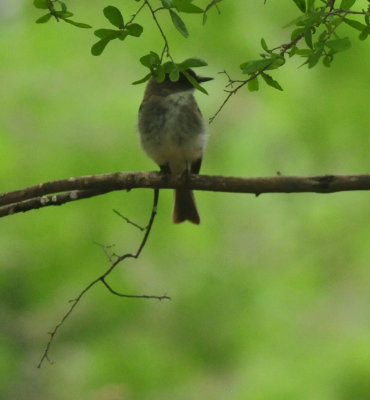 DSC_9040.JPG