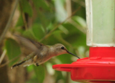 DSC_9891.JPG