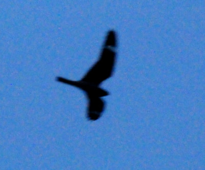 430county.lesser333333333.JPG