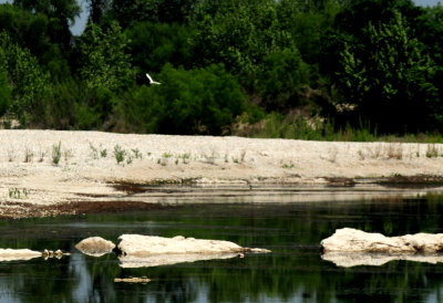 56county222222greategret2222222.JPG