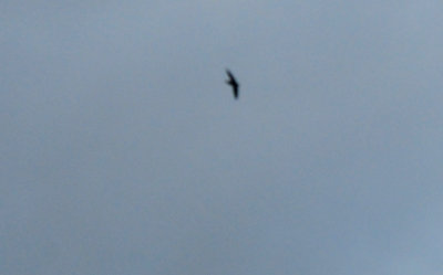 513countychimney.JPG