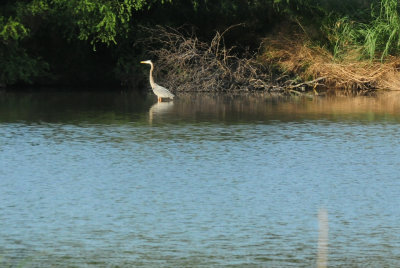 DSC_2133.JPG