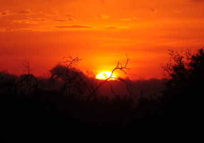 518county.sunrise66666666666.JPG