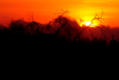 518county.sunrise555555555.JPG