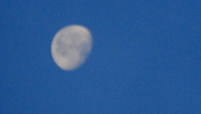 519lessersmoon.JPG