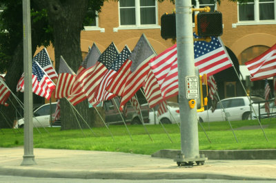 521Countyarmedforcesday.JPG