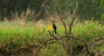 DSC_2821.JPG