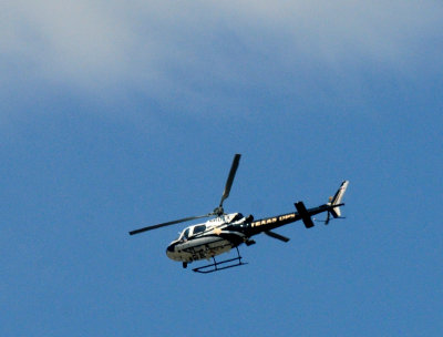 524countyrobb2222.helicoptersssssssss.JPG