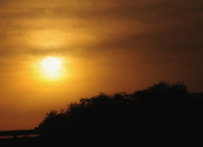 525dayaftersunrise.JPG