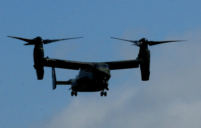 529countypresident.ospreyyyyyyyyyyx.JPG