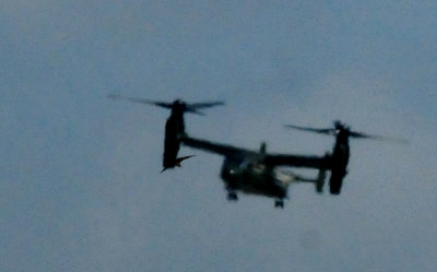529countypresident.ospreeeeeeeeeeees.JPG