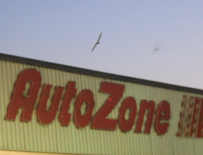 531county.autozone22222222.JPG