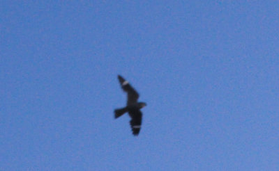 620countylesser222222.JPG